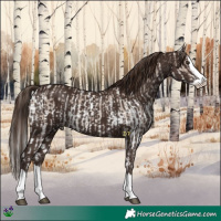 Horse Color:Liver Red Dun Sabino Splash  and Liver Chestnut Splash 