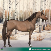 Horse Color:Liver Red Dun 