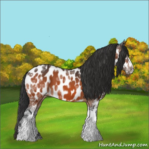 Horse Color:Bay Ice Near Leopard 