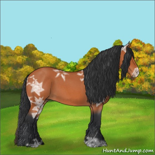 Horse Color:Bay Ice Roan 