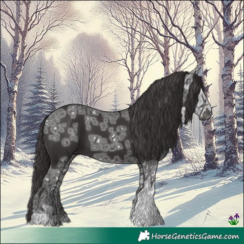 Horse Color:Smoky Black Ice 