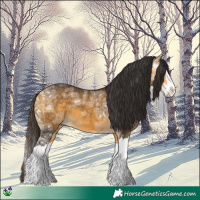 Horse Color:Buckskin Ice Splash 