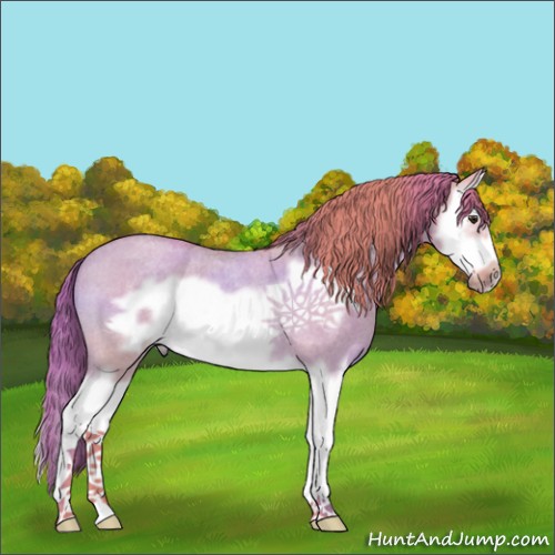Horse Color:Watercolor Red Dun Roan Splash Frame 