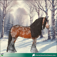 Horse Color:Bay Ice 