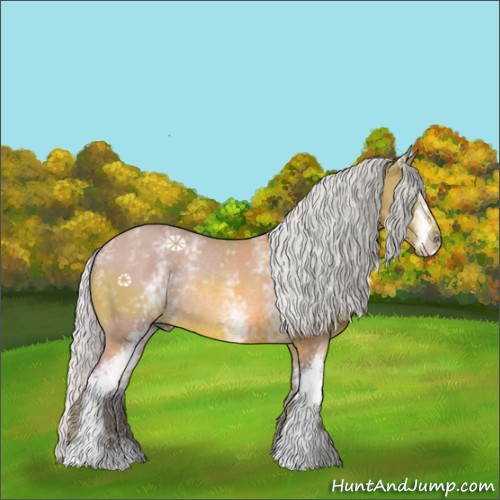 Horse Color:Watercolor White Spotted Silver Bay Rabicano 