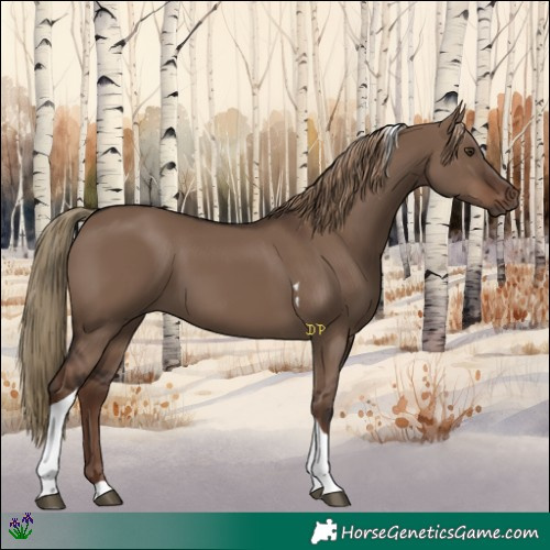 Horse Color:Liver Red Dun Tobiano