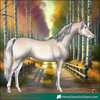 Horse Color:Cremello Onyx 
