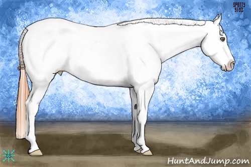 Horse Color:Sable Cream Champagne Appaloosa 