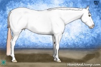 Horse Color:Sable Cream Champagne Appaloosa