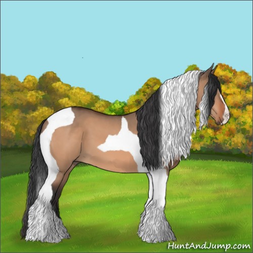 Horse Color:Bay Dun Tobiano 