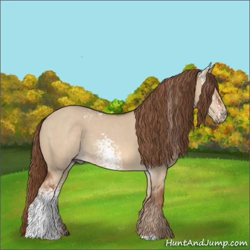 Horse Color:White Spotted Red Dun 