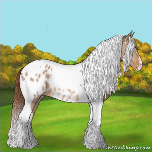 Horse Color:Red Dun Tobiano Appaloosa 