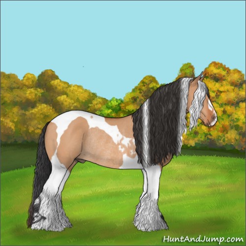 Horse Color:Bay Dun Tobiano Rabicano 