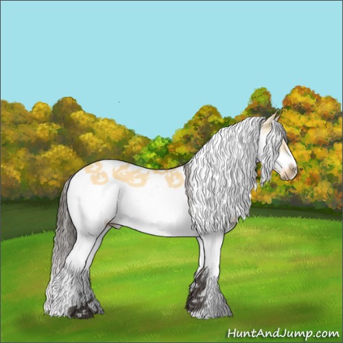 Horse Color:Buckskin Dun Splash Tobiano Frame Rabicano 