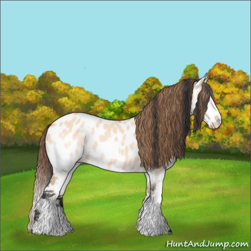 Horse Color:Bay Dun Splash Appaloosa 