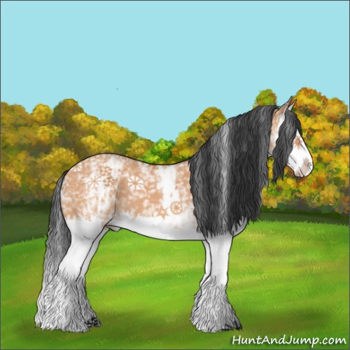 Horse Color:White Spotted Bay Dun Splash 