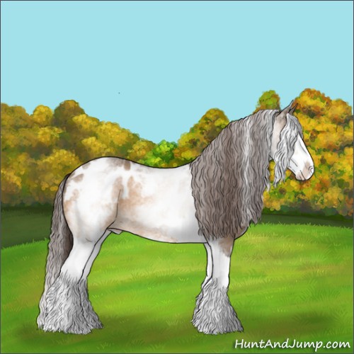 Horse Color:White Spotted Brown Dun Splash Appaloosa Rabicano 