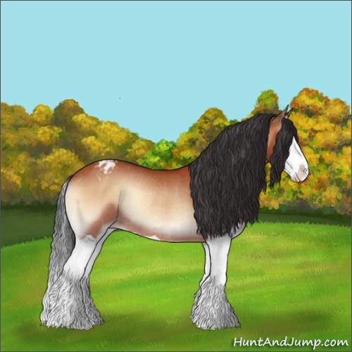 Horse Color:Bay Onyx Splash Appaloosa Rabicano 