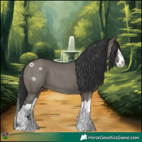 Horse Color:White Spotted Grullo Splash 