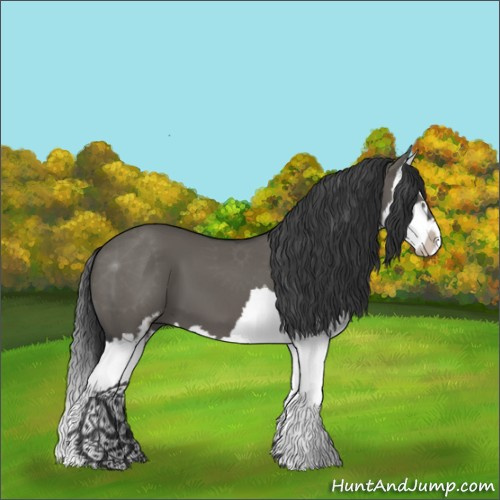 Horse Color:Grullo Sabino Splash 