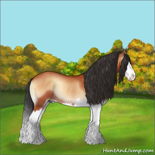 Horse Color:Bay Onyx Splash Rabicano 
