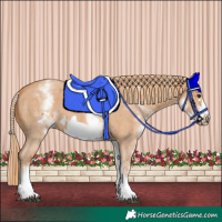 Horse Color:White Spotted Chestnut Sabino Frame