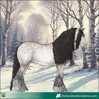 Horse Color:Brown Ice Dun Frame 