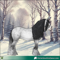 Horse Color:Blue Ice Roan Splash 
