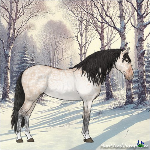 Horse Color:Brown Ice Roan Dun Rabicano