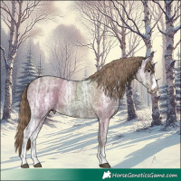Horse Color:Liver Red Dun Ice Rabicano 
