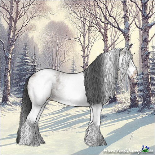Horse Color:White Spotted Grullo Ice 