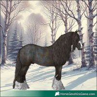 Horse Color:Midnight Amber Champagne Ice Rabicano