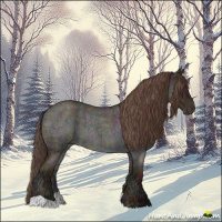 Horse Color:Midnight Classic Champagne Ice Roan 