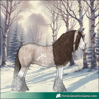 Horse Color:Classic Champagne Ice Splash 