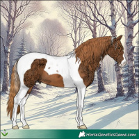Horse Color:Chestnut Ice Tobiano 