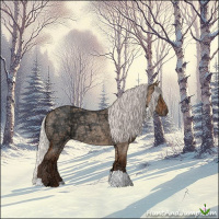Horse Color:Silver Bay Ice Roan Dun