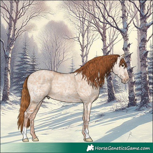 Horse Color:Red Dun Ice Rabicano 