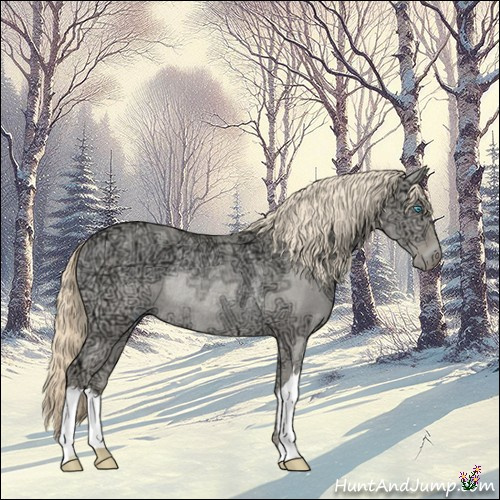 Horse Color:Perlino Ice Dun Rabicano