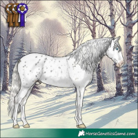 Horse Color:Palomino Ice Pearl Dun Sabino Near Leopard 