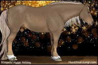 Horse Color:Chocolate Palomino 