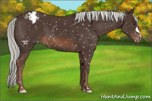 Horse Color:Liver Chestnut Mushroom Snowflake Varnish