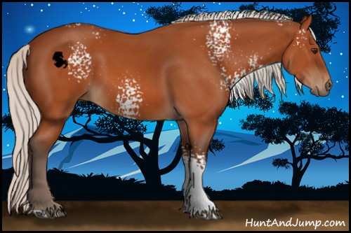 Horse Color:White Spotted Silver Brown 