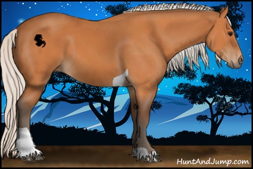 Horse Color:Silver Bay Tobiano 