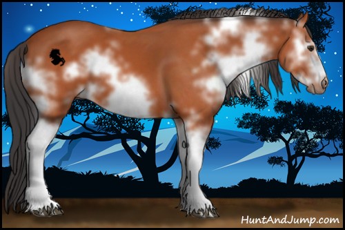 Horse Color:White Spotted Brown Sabino Frame 