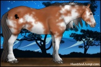 Horse Color:White Spotted Brown Sabino Frame 