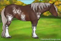 Horse Color:White Spotted Silver Brown 