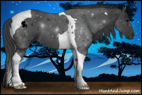 Horse Color:Black Tobiano 