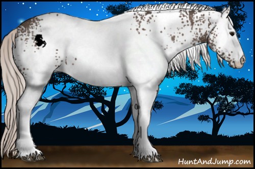 Horse Color:White Spotted Silver Black 