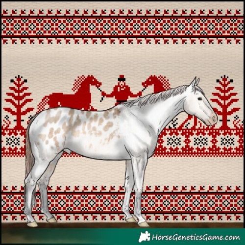 Horse Color:Bay Dun Appaloosa Brindle 