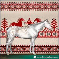 Horse Color:Bay Dun Appaloosa Brindle 